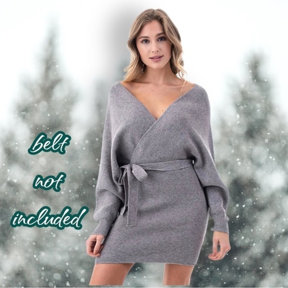 PETAL Roz Silver Gray Vneck Bodycon Sweater Dress Size Large - Picture 3 of 13